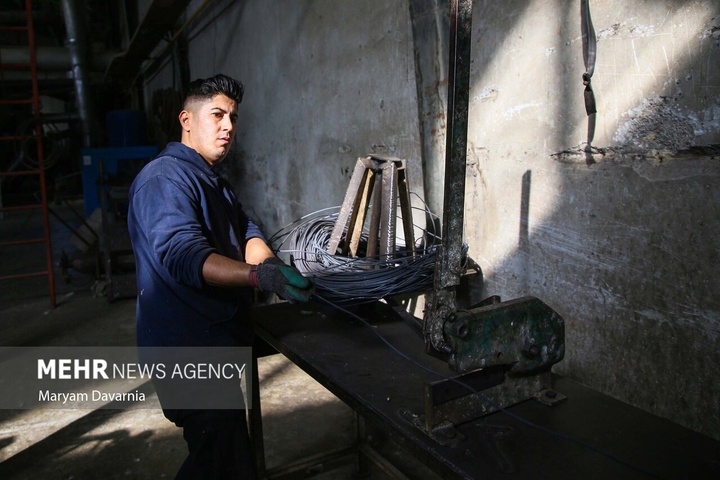 برداشت پنبه از مزارع خراسان شمالی