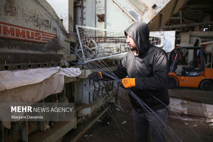 برداشت پنبه از مزارع خراسان شمالی