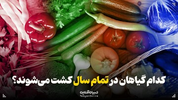 کدام گیاهان در تمام سال کشت می‌شوند؟