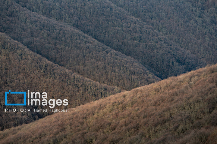 سوز و گداز دیزمار