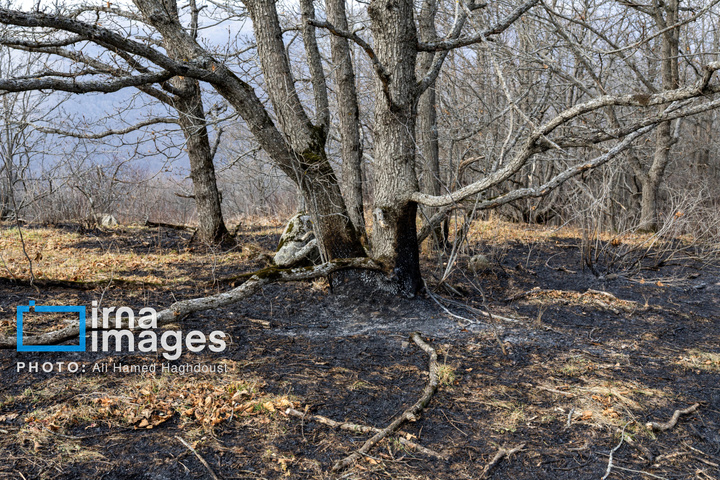 سوز و گداز دیزمار