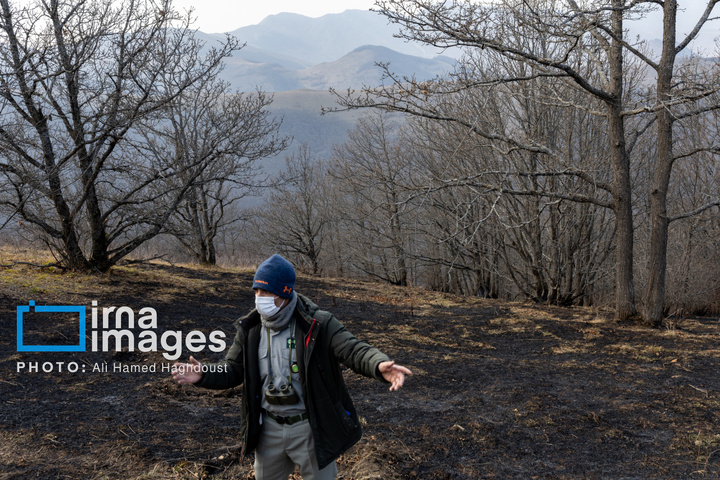 سوز و گداز دیزمار