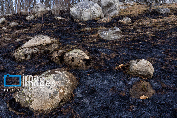 سوز و گداز دیزمار