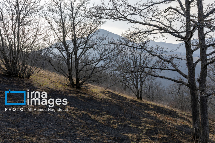 سوز و گداز دیزمار