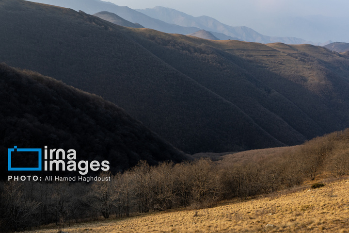 سوز و گداز دیزمار