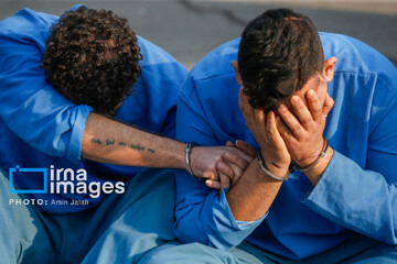 دستگیری ۲۳۰ سارق و مالخر