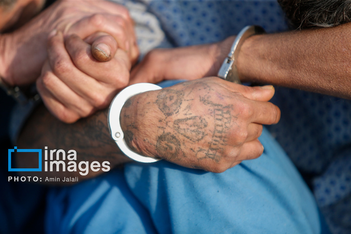 دستگیری ۲۳۰ سارق و مالخر