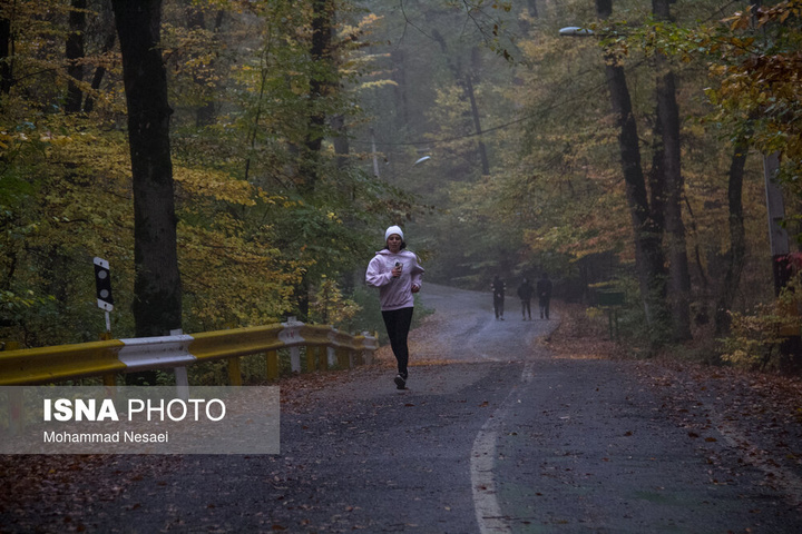 باران پاییزی در جنگل هیرکانی النگدره