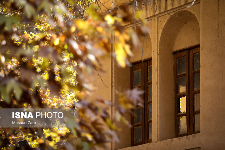 چنارهای سرخ‌پوش پهلوان‌پور