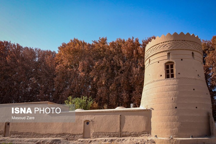 چنارهای سرخ‌پوش پهلوان‌پور