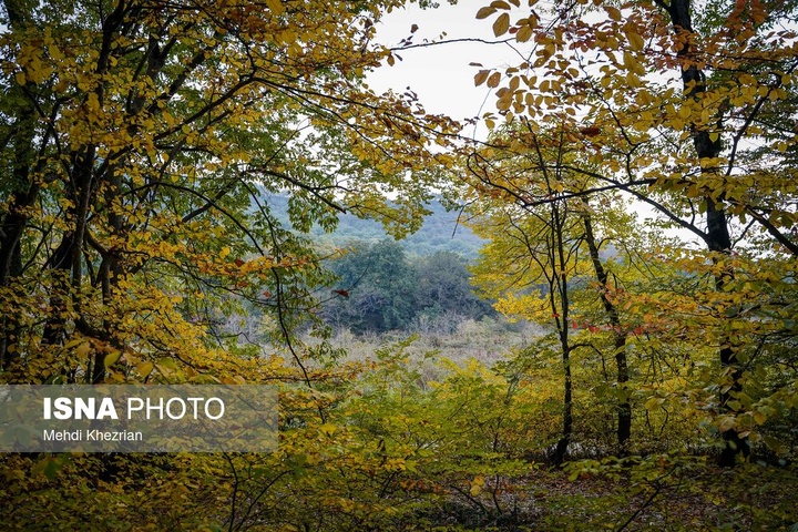 النـگدره؛ قاب ماندگار فصل دگرگونی