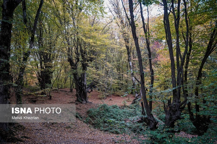 النـگدره؛ قاب ماندگار فصل دگرگونی