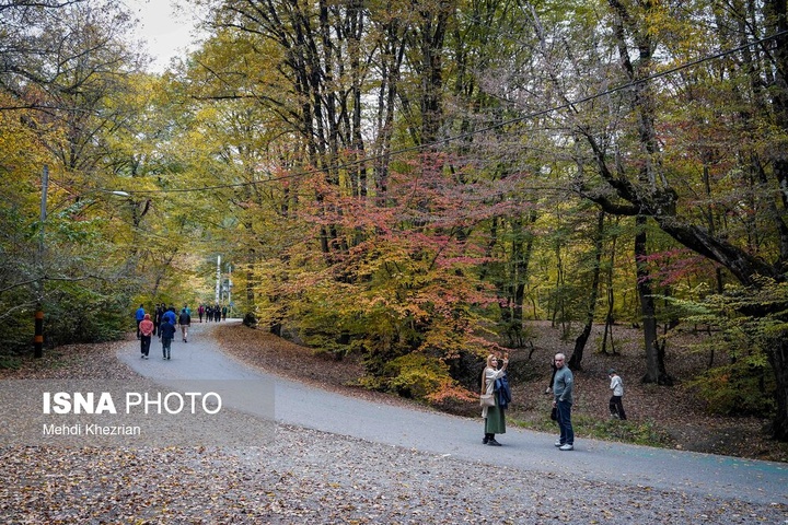 النـگدره؛ قاب ماندگار فصل دگرگونی