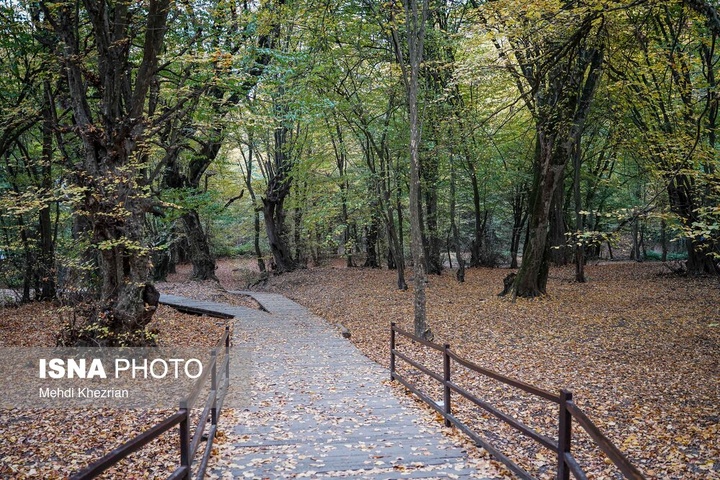 النـگدره؛ قاب ماندگار فصل دگرگونی