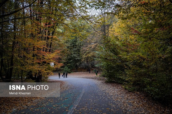 النـگدره؛ قاب ماندگار فصل دگرگونی