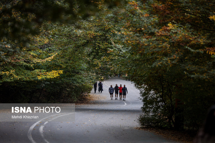 النـگدره؛ قاب ماندگار فصل دگرگونی