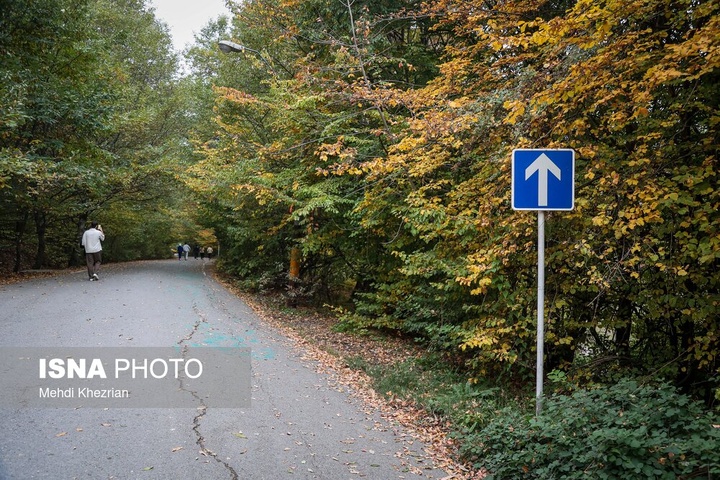 النـگدره؛ قاب ماندگار فصل دگرگونی