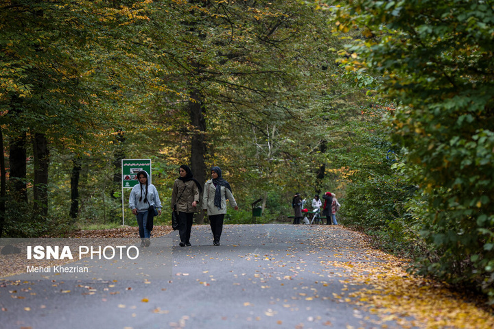 النـگدره؛ قاب ماندگار فصل دگرگونی