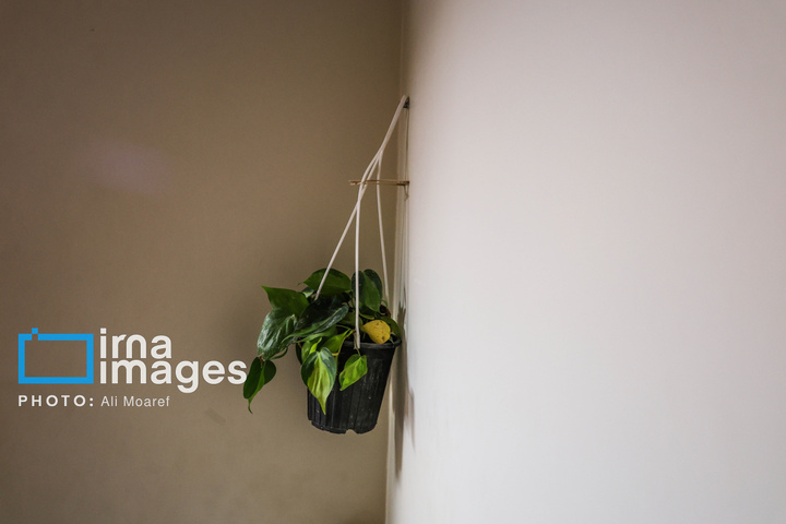 زندگی دانشجویی با خاتمی و رونالدو