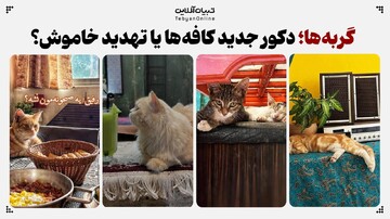 ‌گربه‌ها؛ دکور جدید کافه‌ها یا تهدید خاموش؟