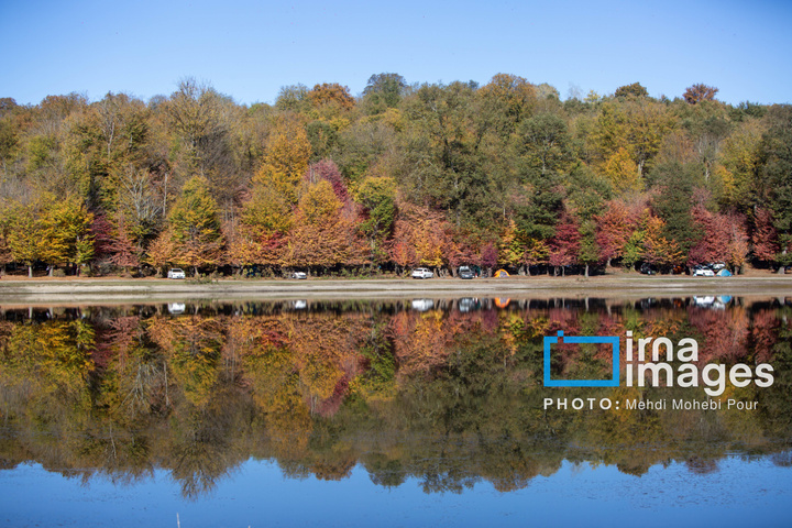 آخرین قدم‌های پاییز