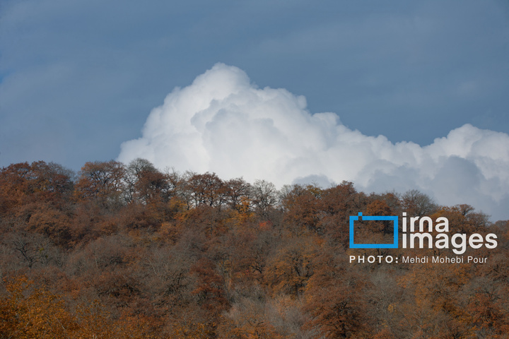 آخرین قدم‌های پاییز