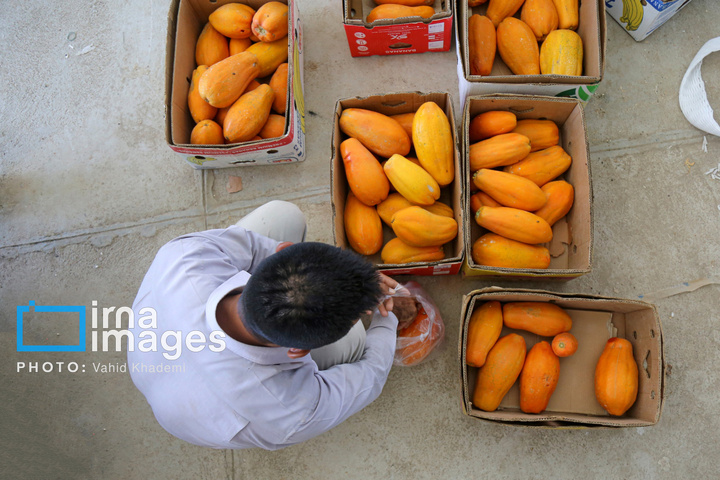 مزرعه «پاپایا»