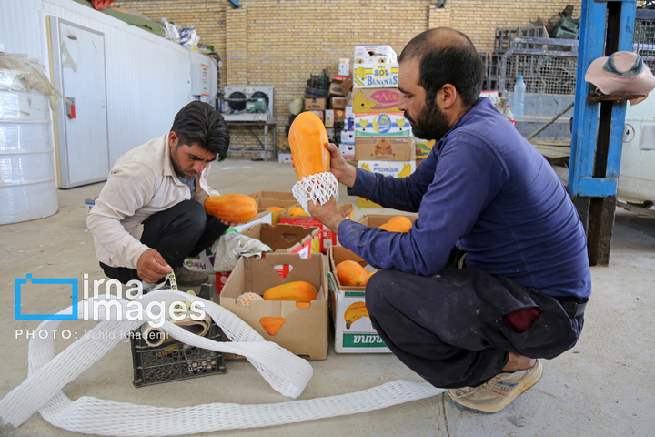 مزرعه «پاپایا»