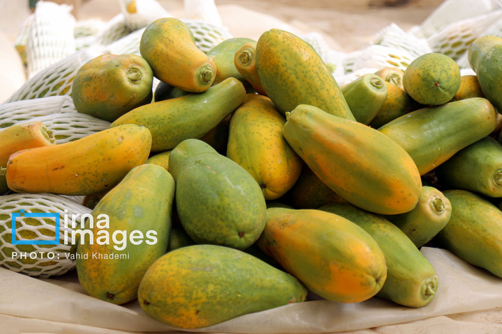 مزرعه «پاپایا»