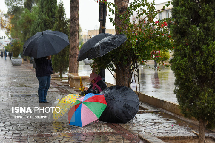 بارش باران پاییزی - شیراز