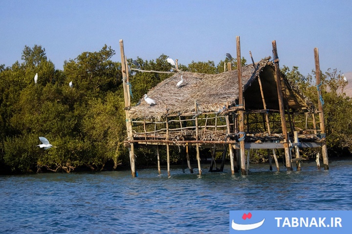 خورخوران؛ بهشتی پنهان میان خلیج فارس