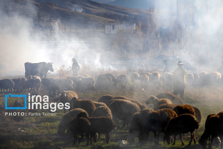 طبیعت پاییزی شهرستان الشتر