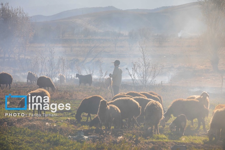 طبیعت پاییزی شهرستان الشتر