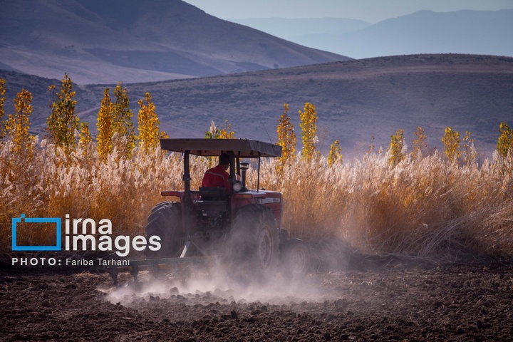 طبیعت پاییزی شهرستان الشتر