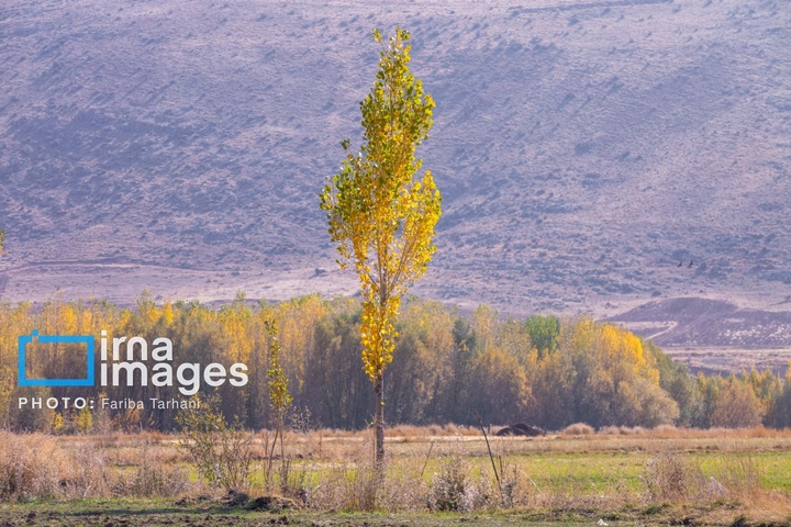 طبیعت پاییزی شهرستان الشتر
