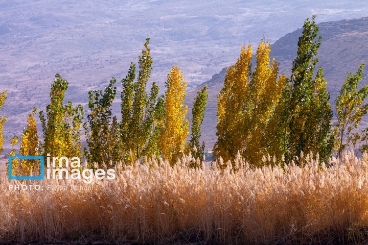 طبیعت پاییزی شهرستان الشتر