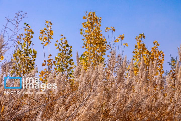 طبیعت پاییزی شهرستان الشتر