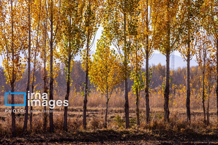 طبیعت پاییزی شهرستان الشتر