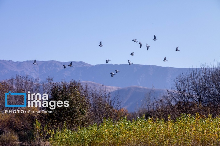 طبیعت پاییزی شهرستان الشتر