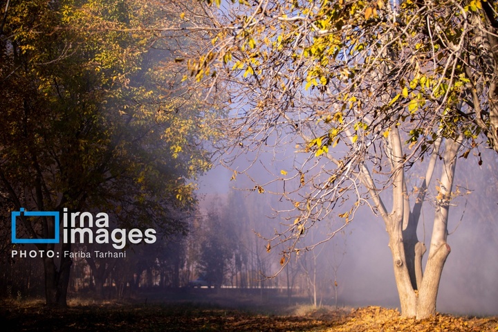 طبیعت پاییزی شهرستان الشتر