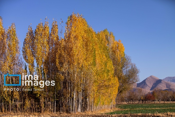 طبیعت پاییزی شهرستان الشتر