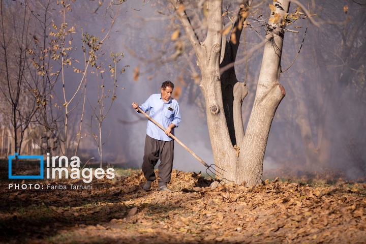 طبیعت پاییزی شهرستان الشتر