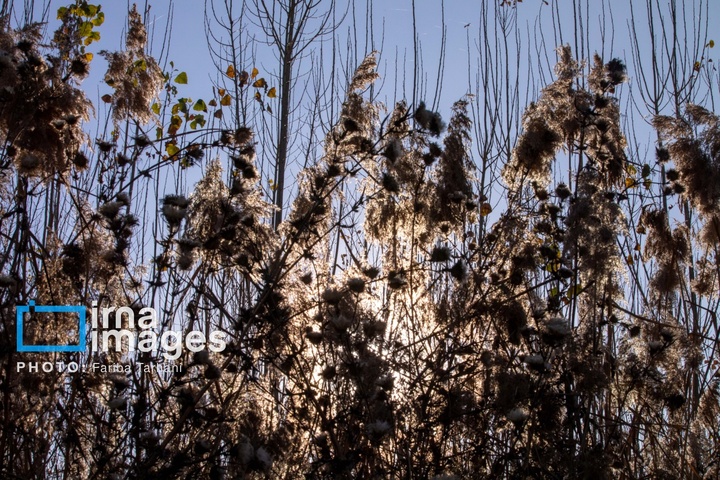 طبیعت پاییزی شهرستان الشتر