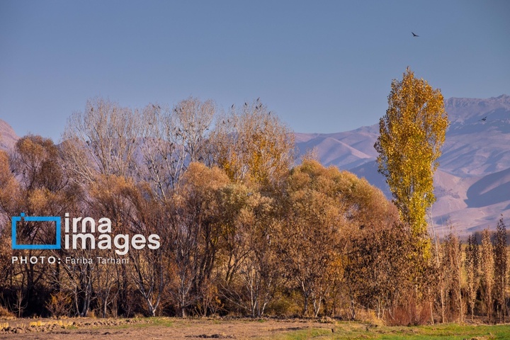 طبیعت پاییزی شهرستان الشتر