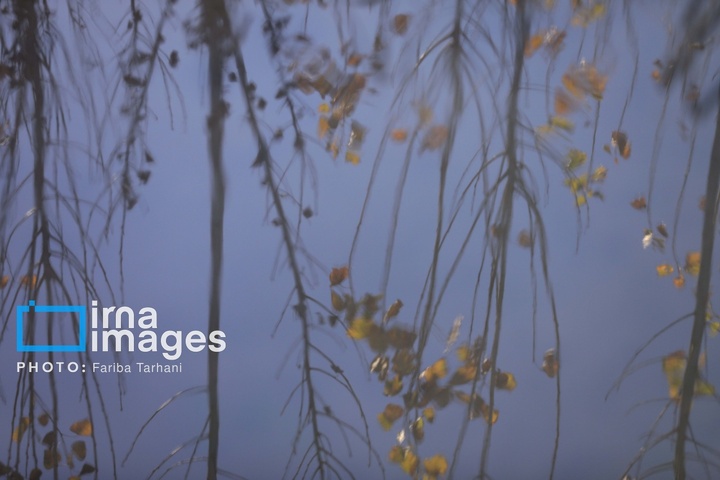 طبیعت پاییزی شهرستان الشتر