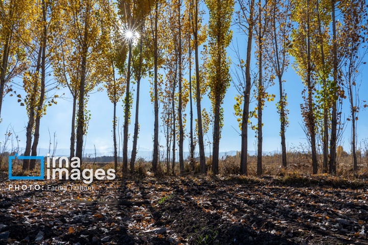 طبیعت پاییزی شهرستان الشتر