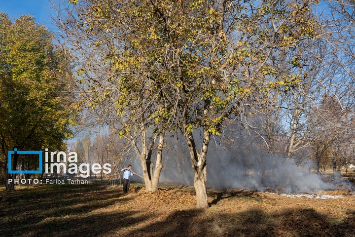 طبیعت پاییزی شهرستان الشتر