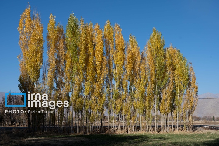 طبیعت پاییزی شهرستان الشتر