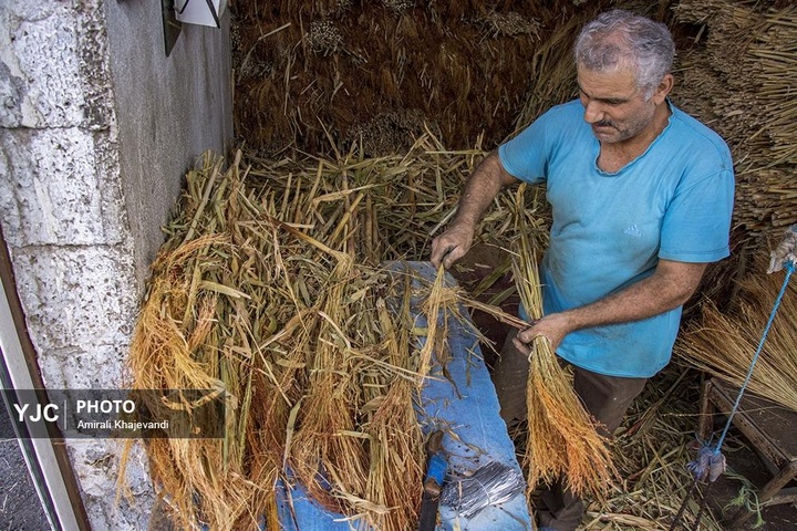 تولید جاروی سنتی در مازندران