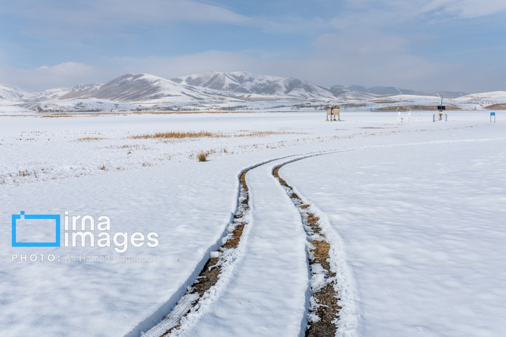 سهند سپیدپوش